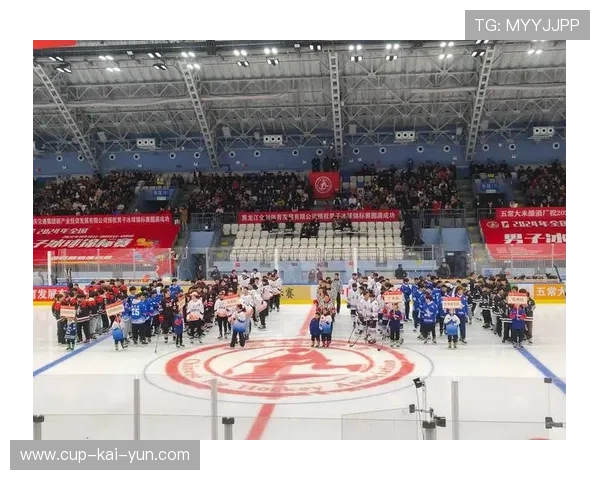 冰球练习场地升级，山东新兴聚乙烯板材助力冬季训练，冰球比赛用球材料