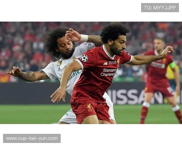 欧冠现场:球迷自制创意应援旗帜盘点,球赛应援牌 欧冠现场:球迷自制创意应援旗帜盘点,球赛应援牌